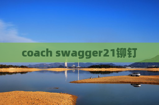 coach swagger21铆钉